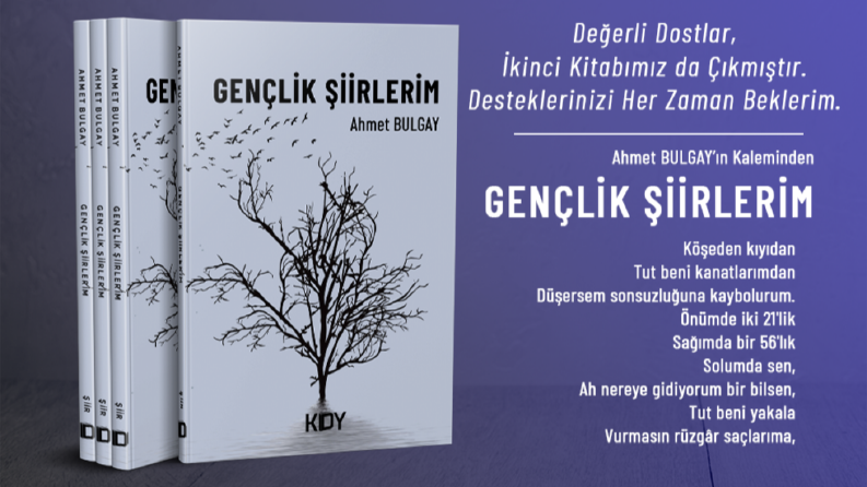 Gençlik Şiirlerim adlı şiir kitabı kapak tasarımı