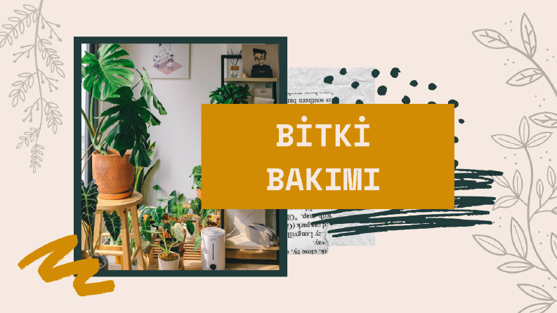 bitki bakımı- kapak görseli