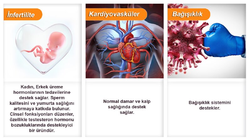 Profesyonel Banner Tasarımı | Markanızı Yansıtan Tasarımlar
