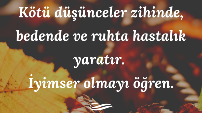SOSYAL MEDYA TASARIMLARI