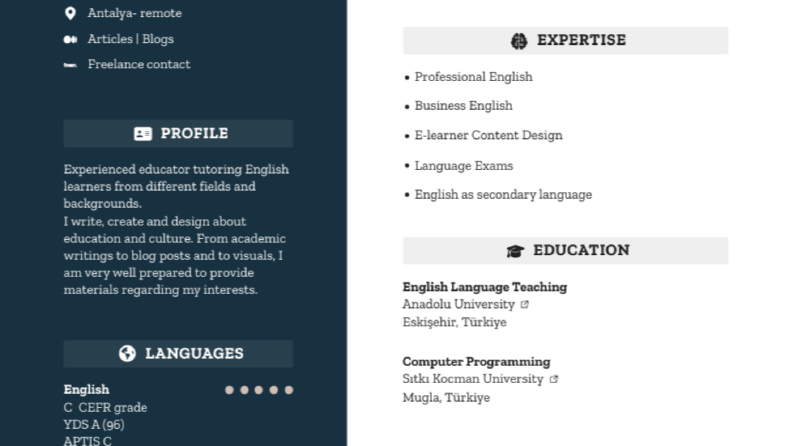 İngilizce cv örneği