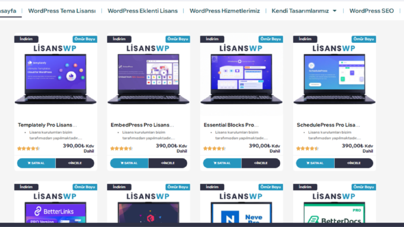 Lisanswp.com tasarım çalışması