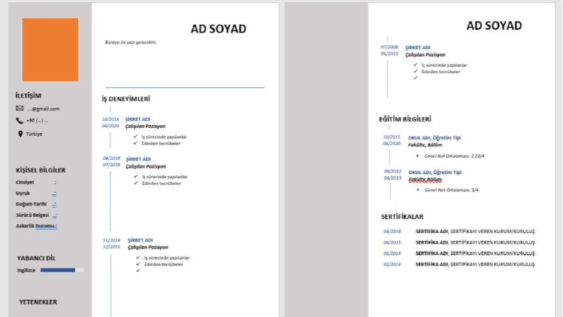 CV Taslak 1