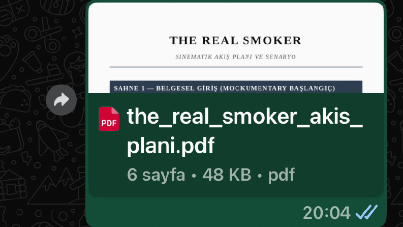 The Real Smoker Kısa Film Senaryosu