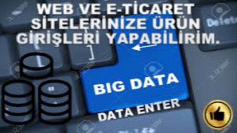Ürün ve veri girişi benim işim