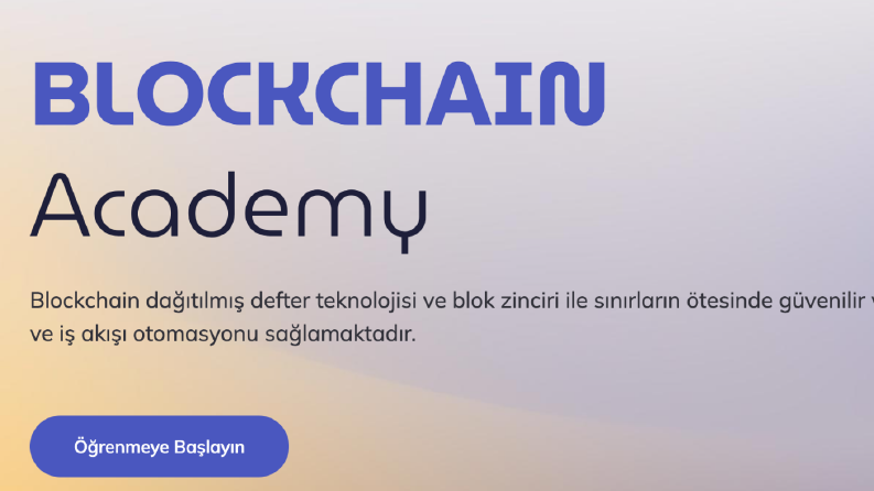 Web Site 