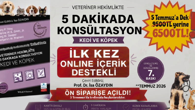 Markanızı Öne Çıkaran Profesyonel Reklam Banner Tasarımları