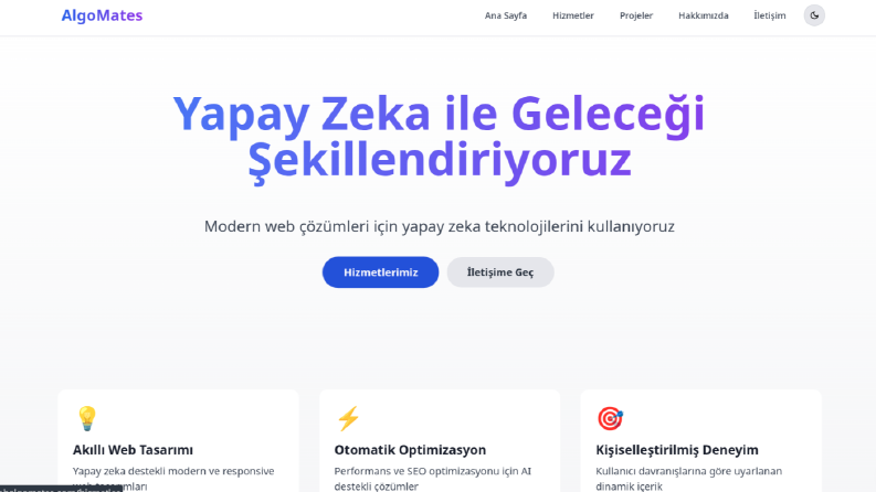 Admin Panelli Web Yazılım