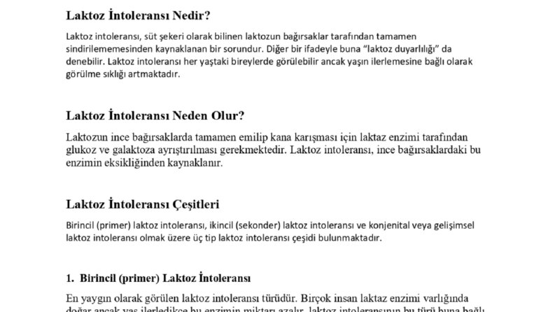 Makale Yazımı