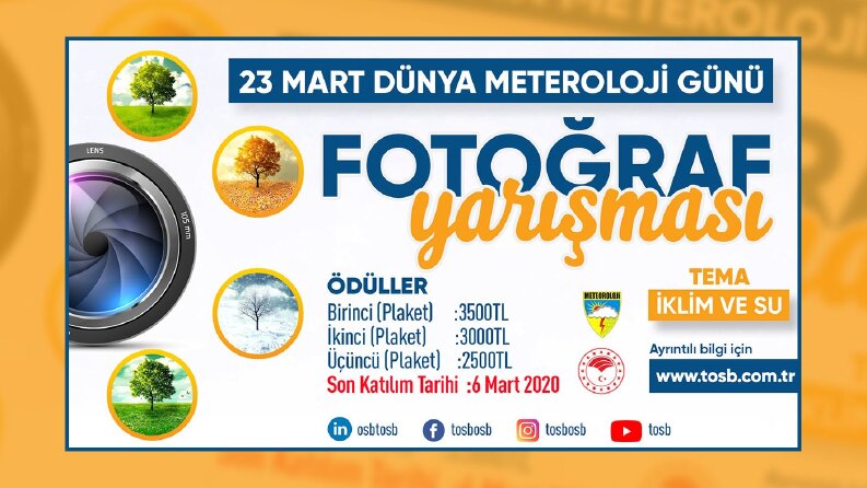Profesyonel Sosyal Medya Tasarımı