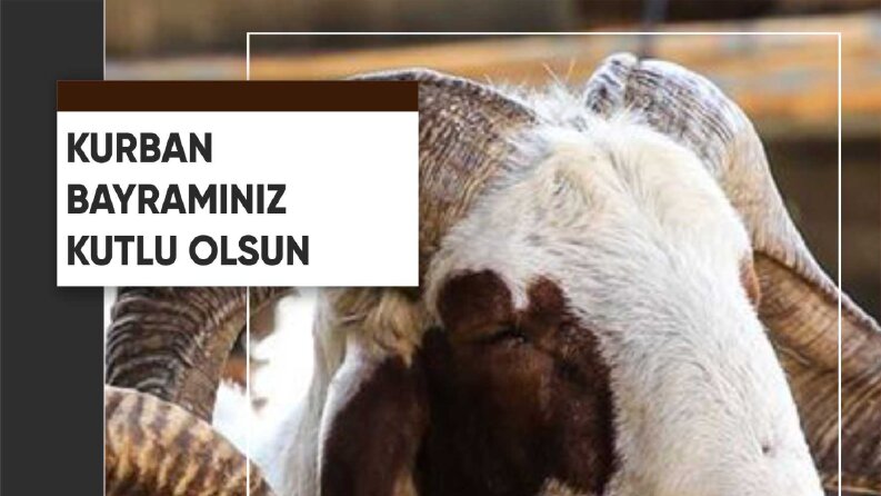 İş örneğim