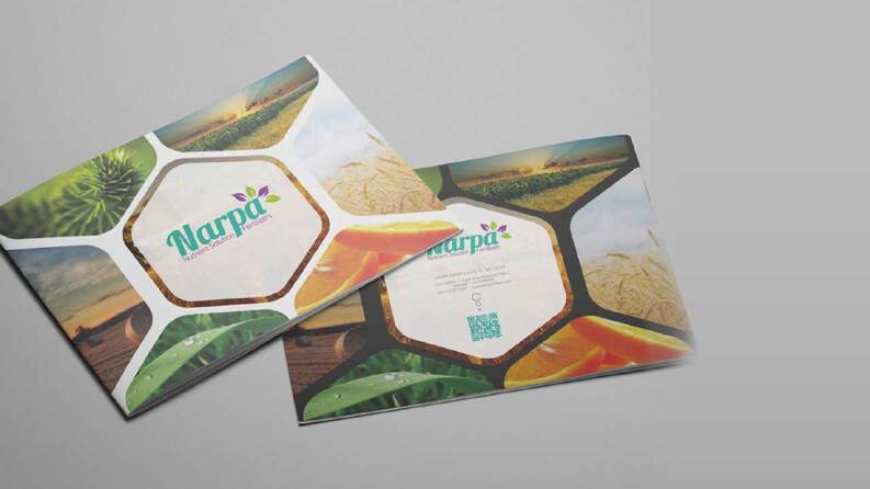 Katalog