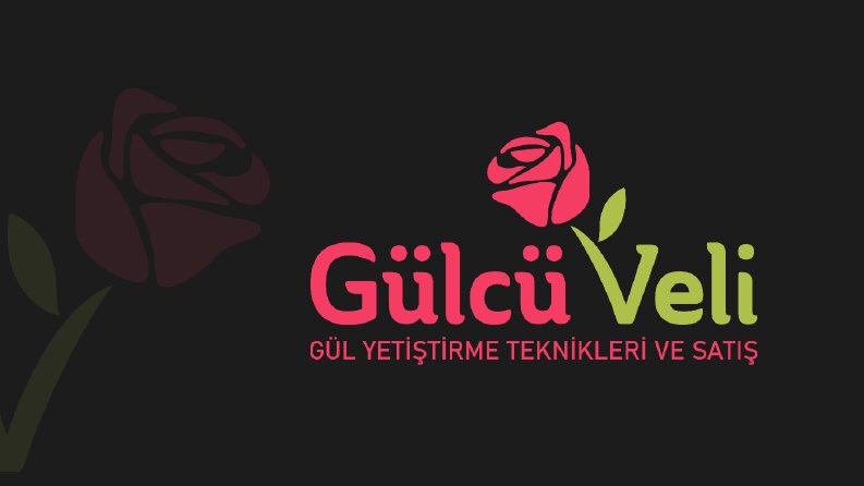 GÜLCÜ VELİ LOGO TASARIMI