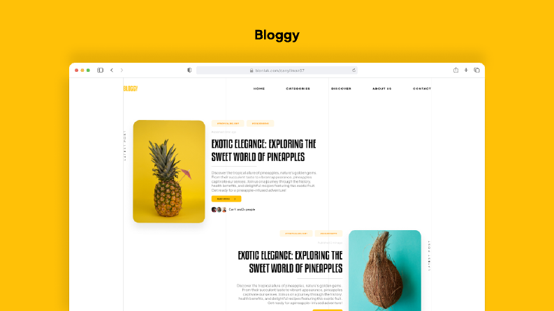 Blog Tasarımı