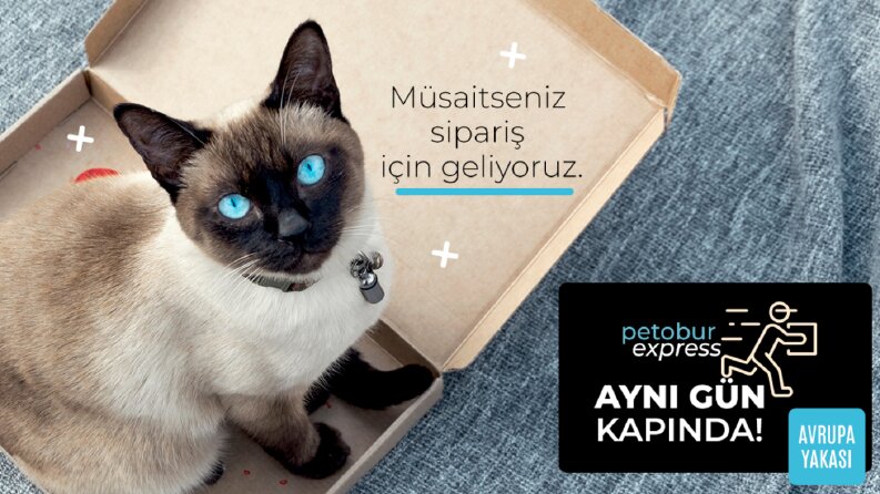 İlk Karşılaşma Önemlidir