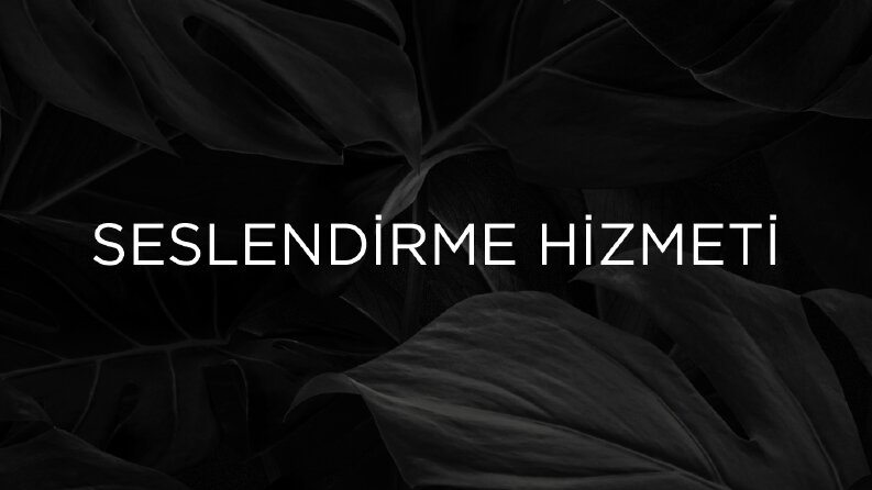 Seslendirme Hizmeti