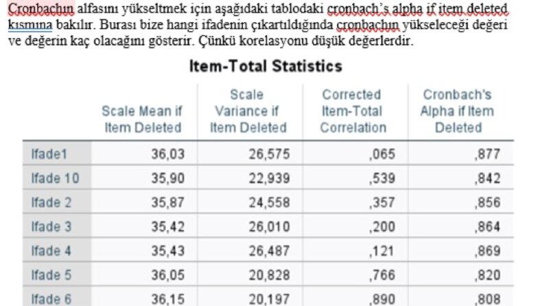SPSS ile Yapılan Analizler