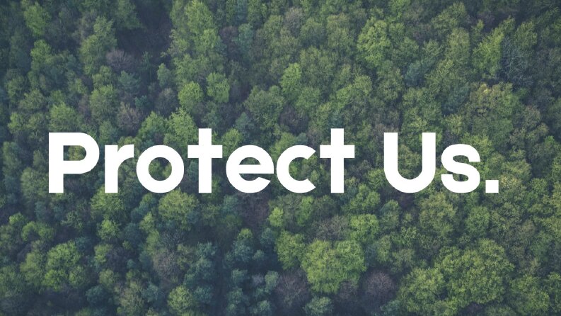 Protect Us Logo Tasarımı