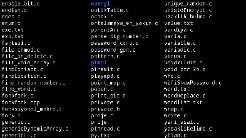 C ve c++ 