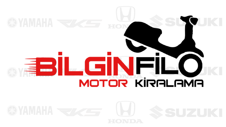 bilginflo konsep tasarımı (10TL)