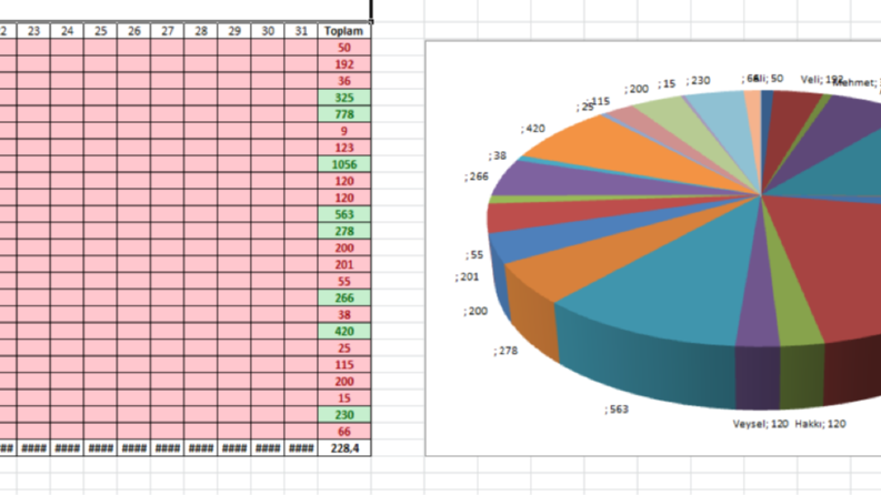 veri girişi, grafik hazırlama