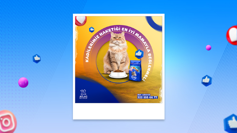 Sosyal Medya Post Tasarımı
