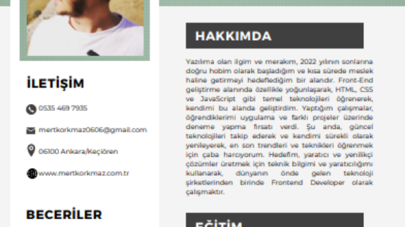 en şık CV