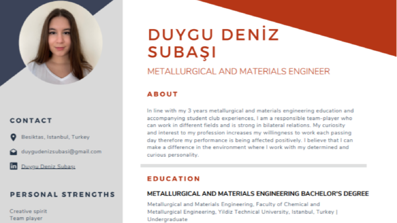İngilizce CV