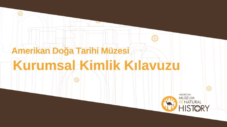 Müze için kurumsal kimlik çalışmam