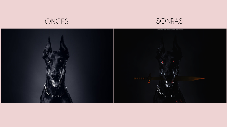 Dark Dog