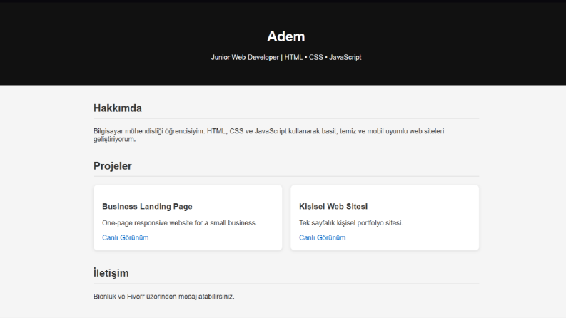Basic Responsive Website