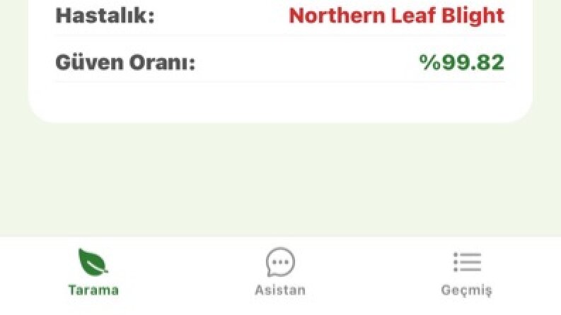 Flutter & React Native ile Geliştirilmiş Modern Mobil Uygulamalar