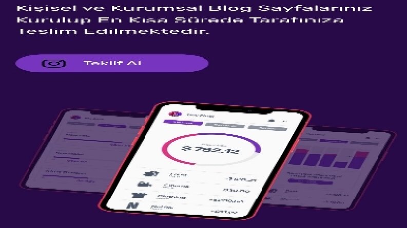 Web sitesi kurulur