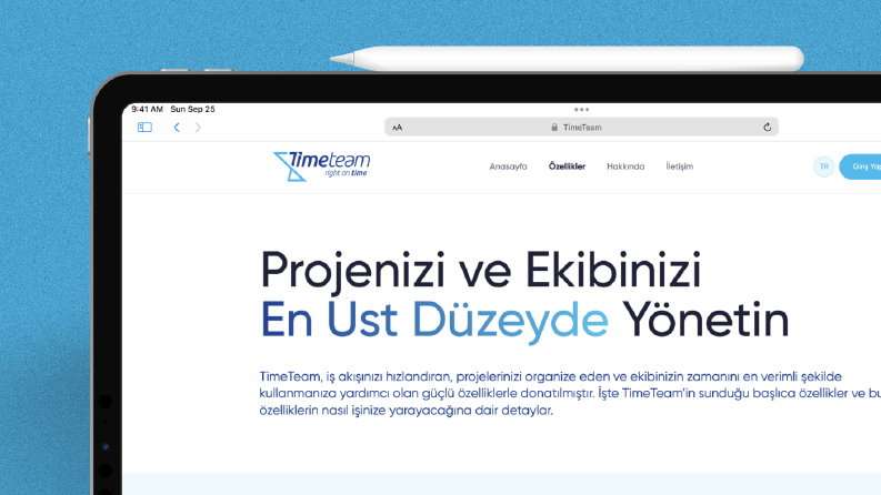 TimeTeam - Project and Team Management Tool