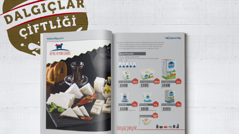katalog tasarımı