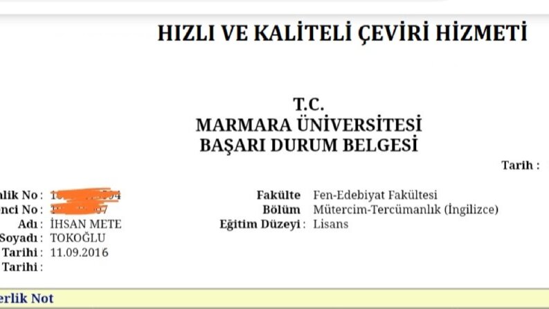 PROFESYONEL ÇEVİRİ 