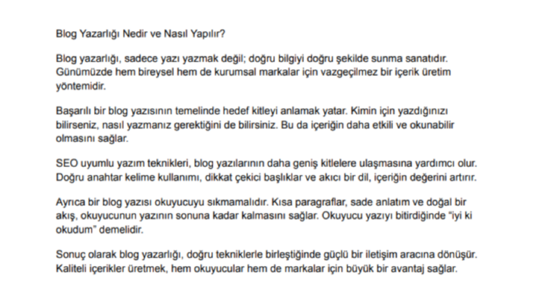 Blog Yazarlığı – Örnek Makale