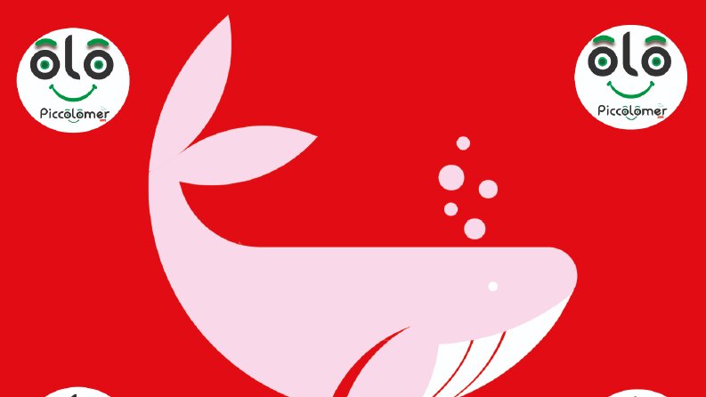 Piccolomer Logo Çalışması 