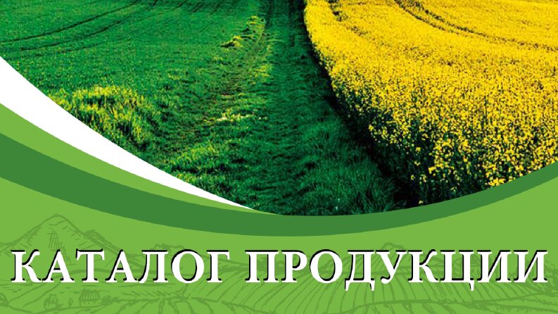 PDF Düzenleme