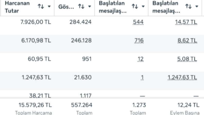 @avrupakariyerim Markasının 1 Aylık Reklam Sonuçları