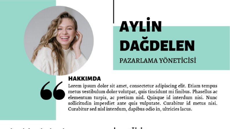 Profesyonel CV Örneği-2