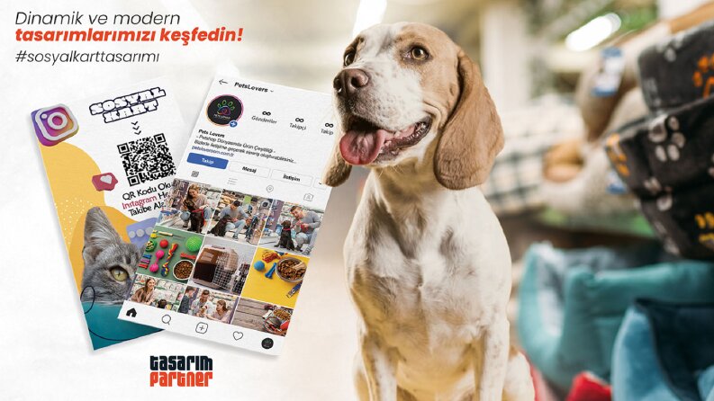 Petshop Markasına Sosyal Kart Tasarım Hizmeti