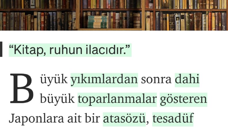 Kültür, sanat ve edebiyat alanında çeşitli yazılar yazarım