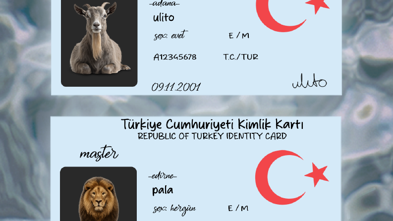 Yapılan Çalışmalar
