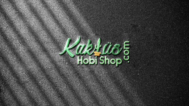 Logo ve Kimlik Çalışmalarım