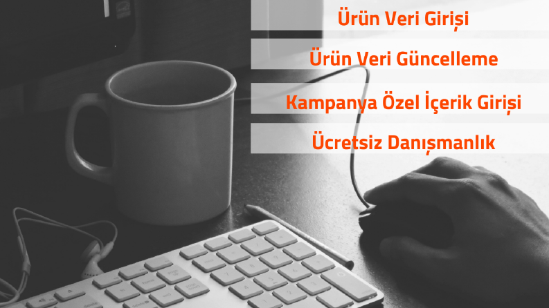 Ürün Veri Girişi