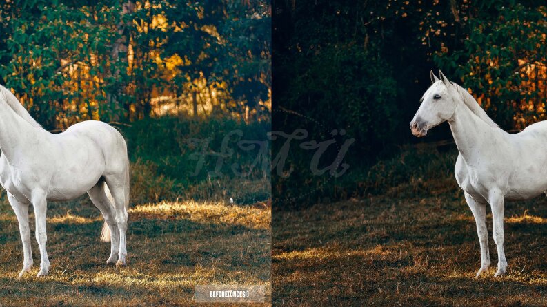 Fotoğraf Edit