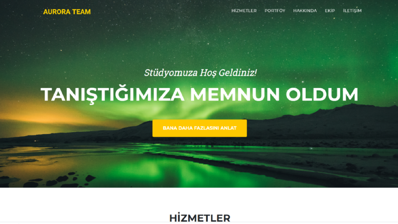 Web Sitesi Tasarımı