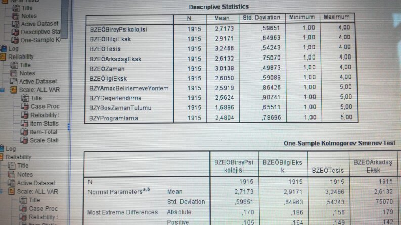 SPSS ANALİZ