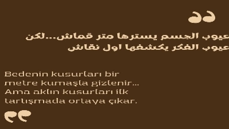 Profesyonel Arapça - Türkçe Çeviri 